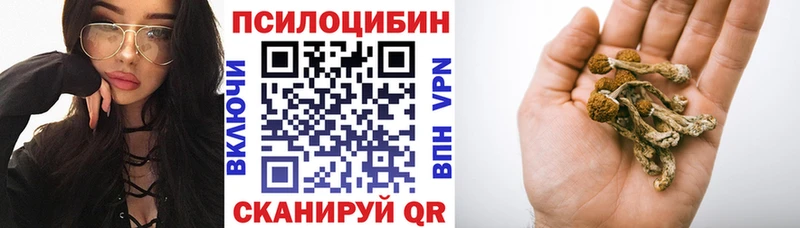 кракен маркетплейс  где можно купить   Набережные Челны  Галлюциногенные грибы Psilocybe 